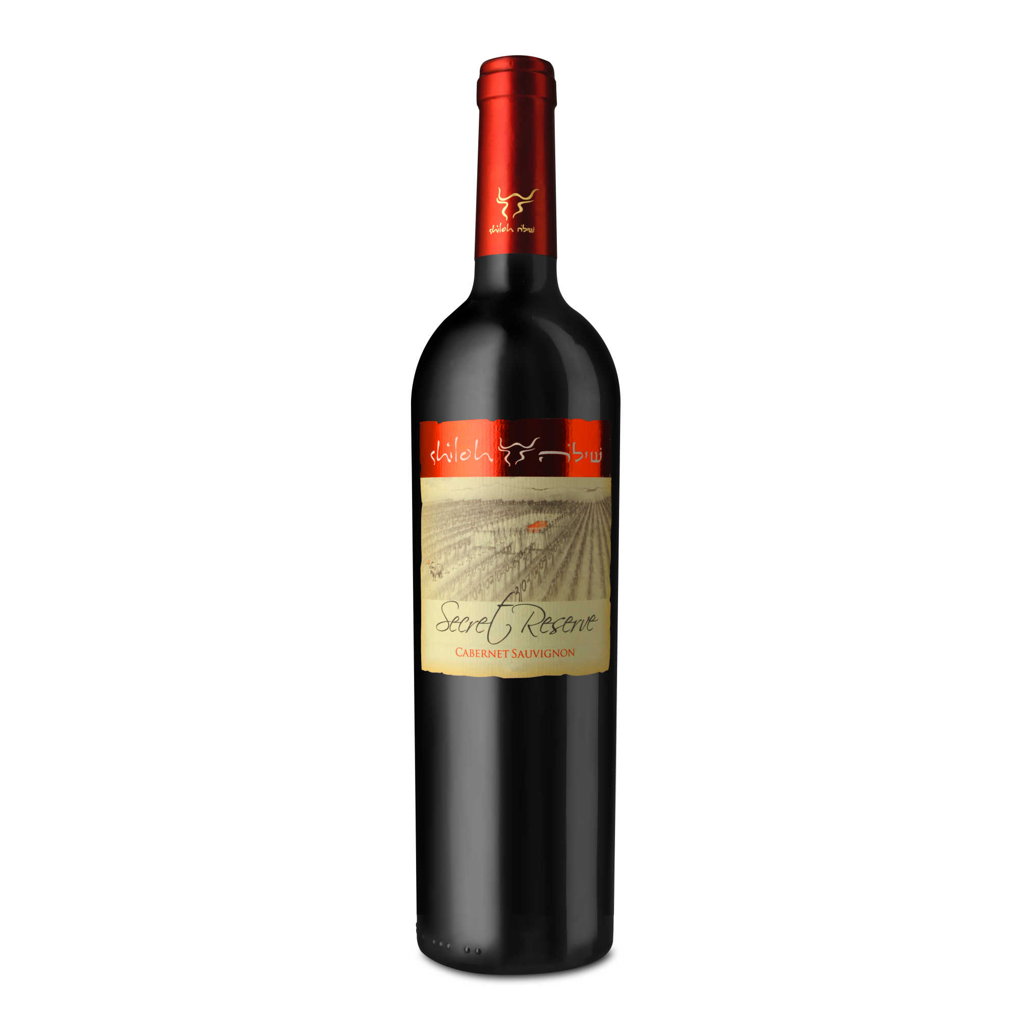 Shiloh Secret Reserve Cabernet Sauvignon Non-Mevushal - A Kosher Wine From Israel