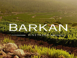 Barkan category