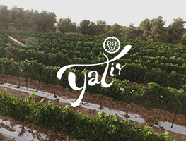 Yatir category